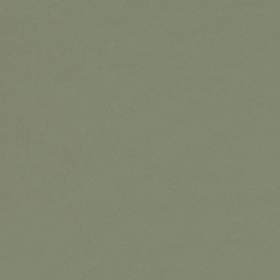 olive.png
