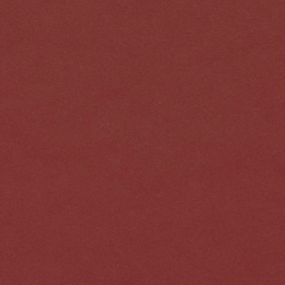 salsa.png